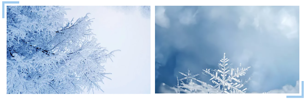 1544766300553813EnRY.png 微信2.png