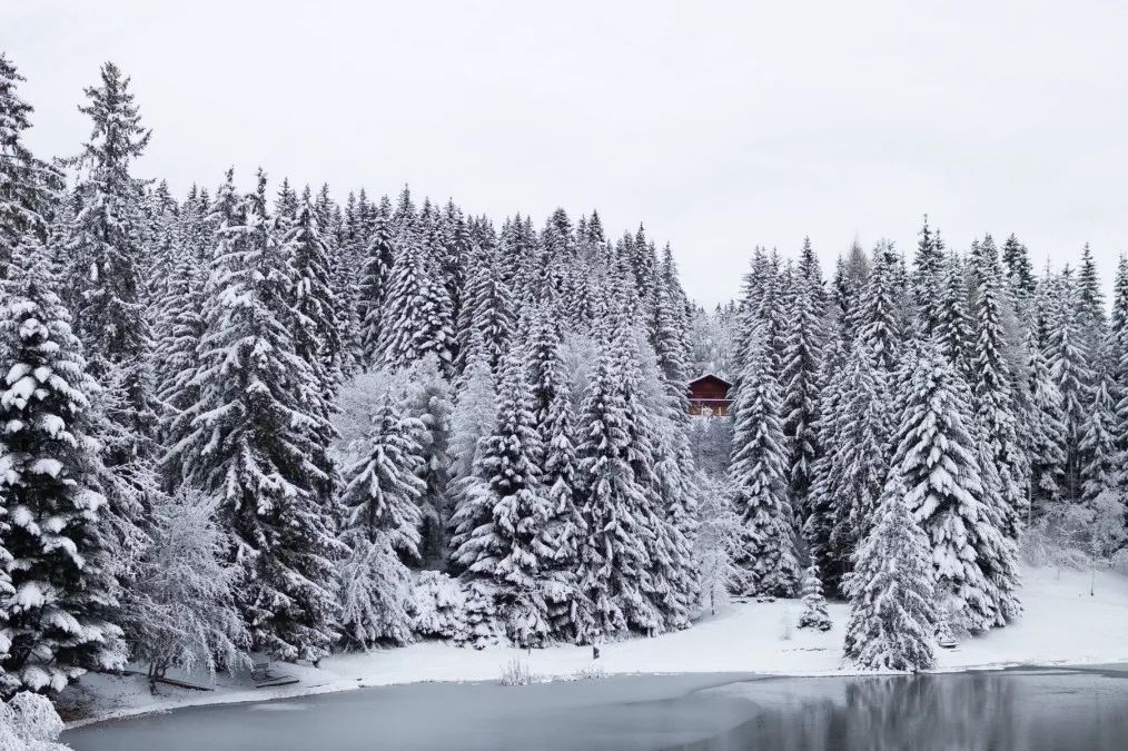 1567820552851802l1Zx.jpg 1567820552851802l1Zx.jpg