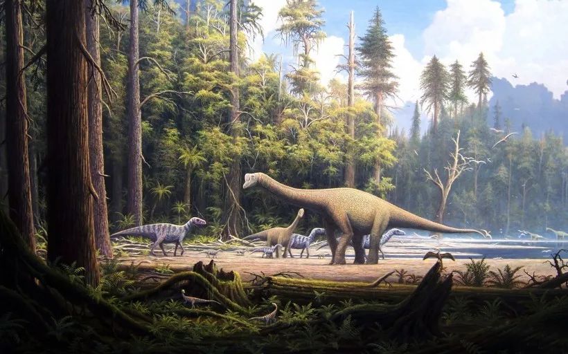 15678206052425112Ibt.jpg 15678206052425112Ibt.jpg